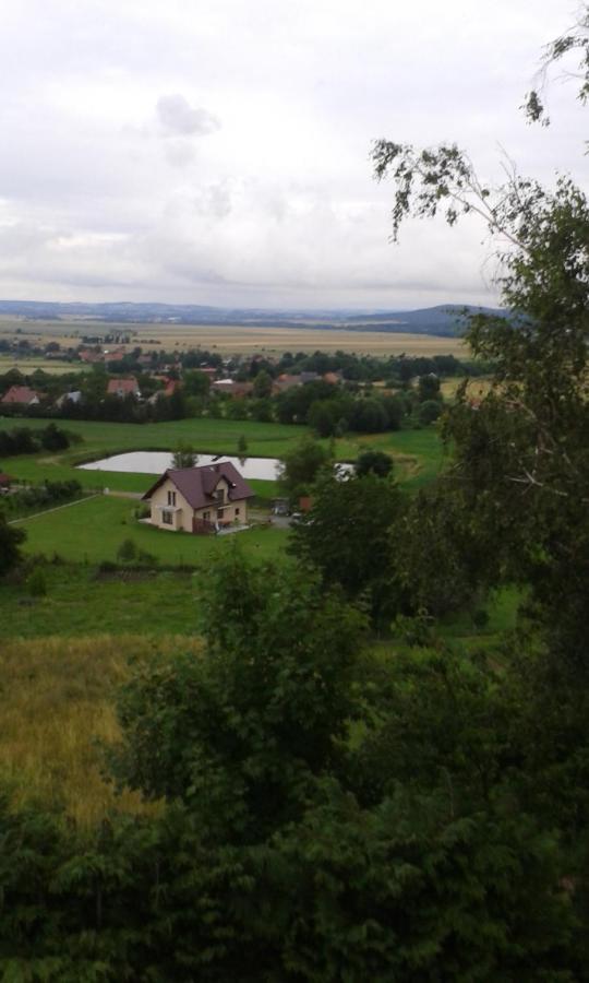 Dom Wypoczynkowy Pod Fortami Srebrna Góra Exterior foto